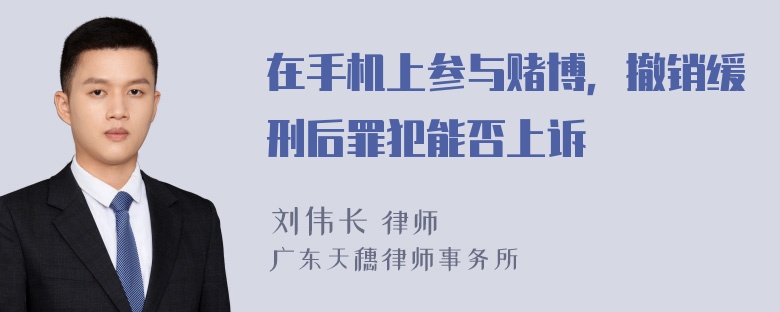 在手机上参与赌博，撤销缓刑后罪犯能否上诉