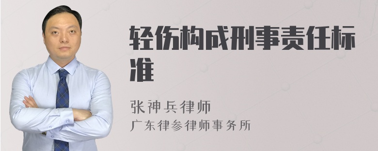 轻伤构成刑事责任标准