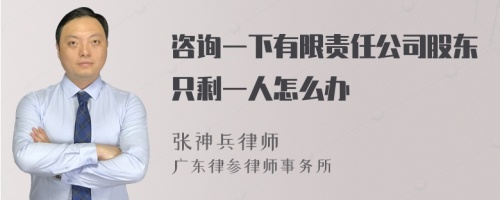 咨询一下有限责任公司股东只剩一人怎么办