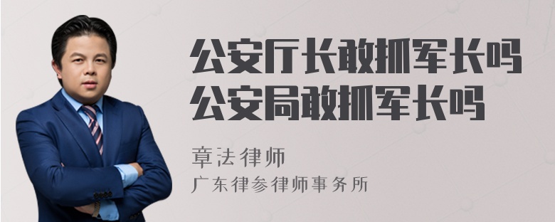 公安厅长敢抓军长吗公安局敢抓军长吗