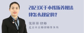 2023关于小孩抚养权法律怎么规定的？