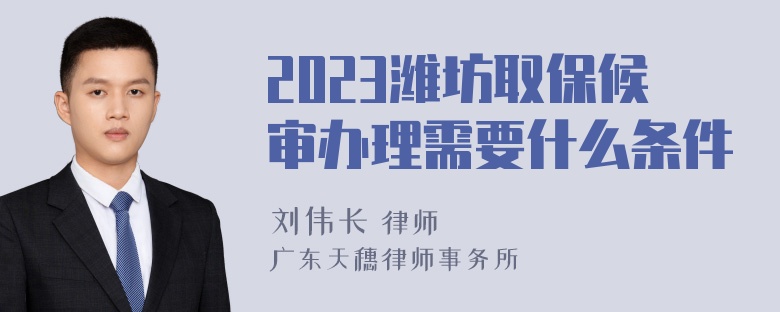 2023潍坊取保候审办理需要什么条件