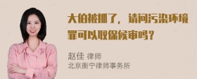 大伯被抓了，请问污染环境罪可以取保候审吗？