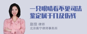 一只眼睛看不见司法鉴定属于几及伤残