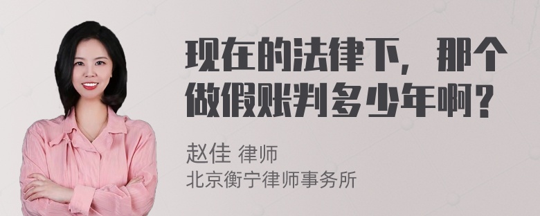 现在的法律下，那个做假账判多少年啊？