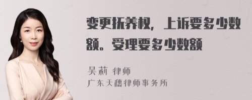 变更抚养权，上诉要多少数额。受理要多少数额