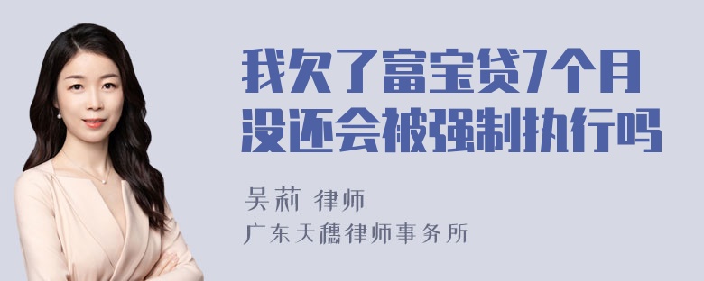 我欠了富宝贷7个月没还会被强制执行吗