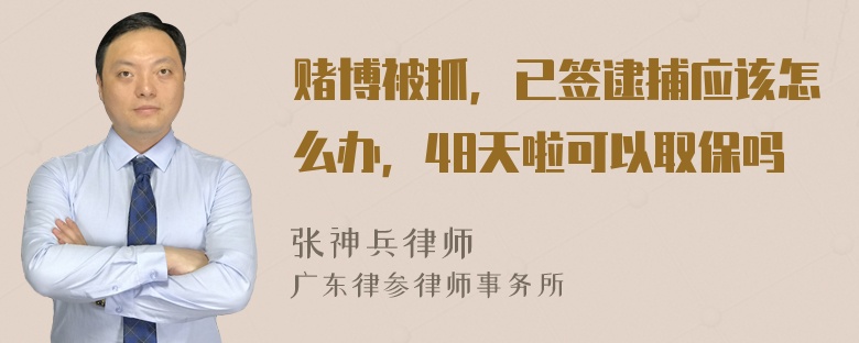 赌博被抓，已签逮捕应该怎么办，48天啦可以取保吗