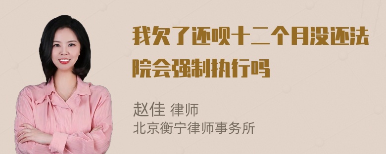 我欠了还呗十二个月没还法院会强制执行吗