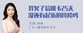 我欠了信用卡25天没还有起诉的风险吗