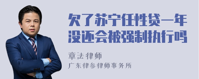 欠了苏宁任性贷一年没还会被强制执行吗