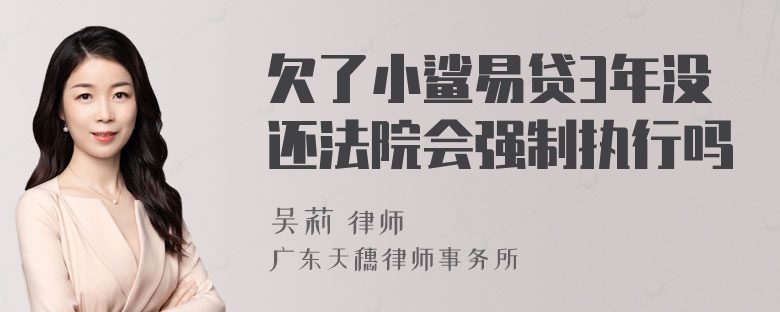 欠了小鲨易贷3年没还法院会强制执行吗