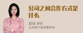 公司之间合作方式是什么