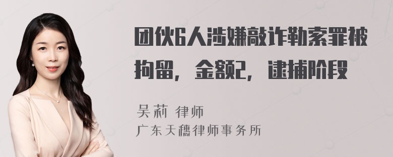 团伙6人涉嫌敲诈勒索罪被拘留，金额2，逮捕阶段