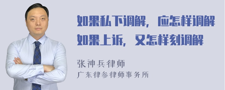 如果私下调解，应怎样调解如果上诉，又怎样刻调解