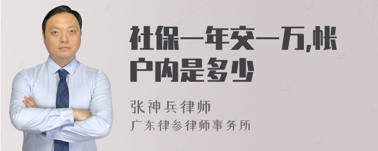 社保一年交一万,帐户内是多少