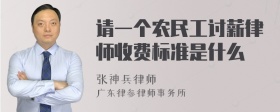 请一个农民工讨薪律师收费标准是什么