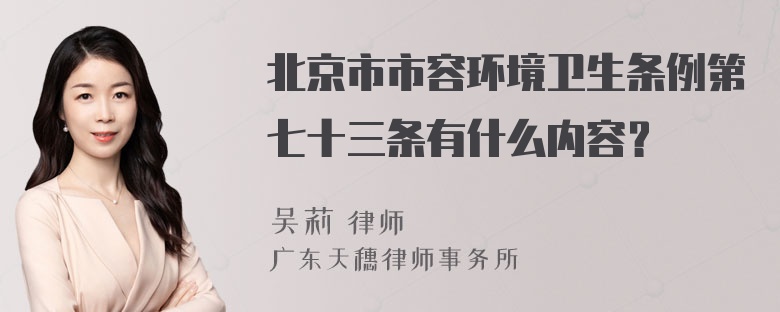 北京市市容环境卫生条例第七十三条有什么内容？