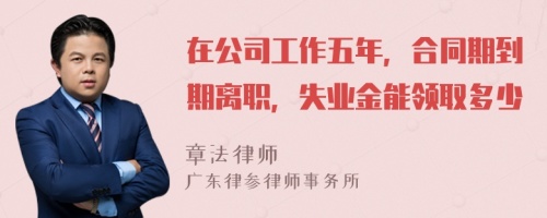 在公司工作五年，合同期到期离职，失业金能领取多少