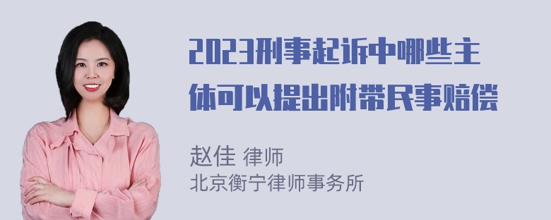 2023刑事起诉中哪些主体可以提出附带民事赔偿