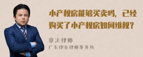 小产权房能够买卖吗，已经购买了小产权房如何维权？