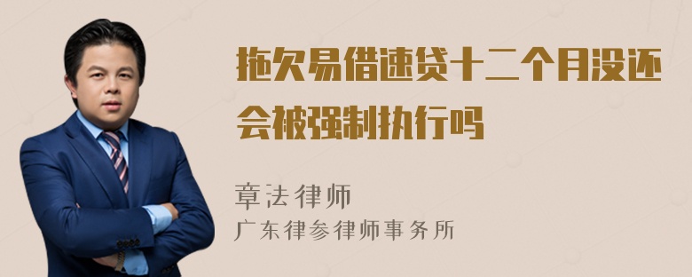 拖欠易借速贷十二个月没还会被强制执行吗