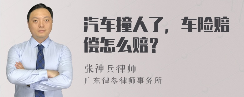 汽车撞人了，车险赔偿怎么赔？