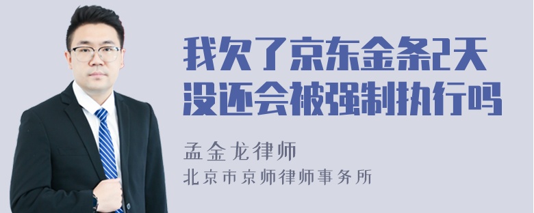 我欠了京东金条2天没还会被强制执行吗