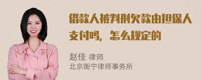 借款人被判刑欠款由担保人支付吗，怎么规定的