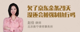 欠了京东金条29天没还会被强制执行吗