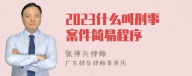 2023什么叫刑事案件简易程序