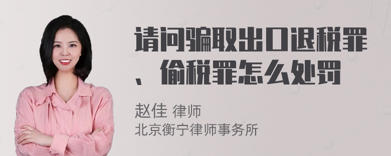 请问骗取出口退税罪、偷税罪怎么处罚