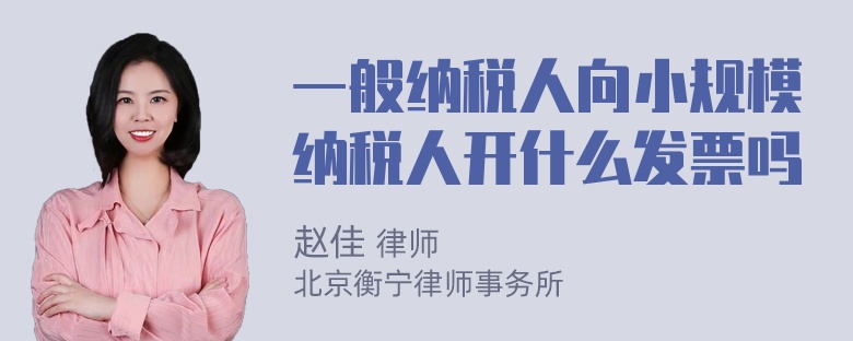 一般纳税人向小规模纳税人开什么发票吗