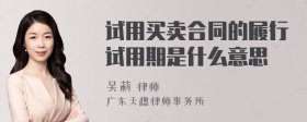 试用买卖合同的履行试用期是什么意思