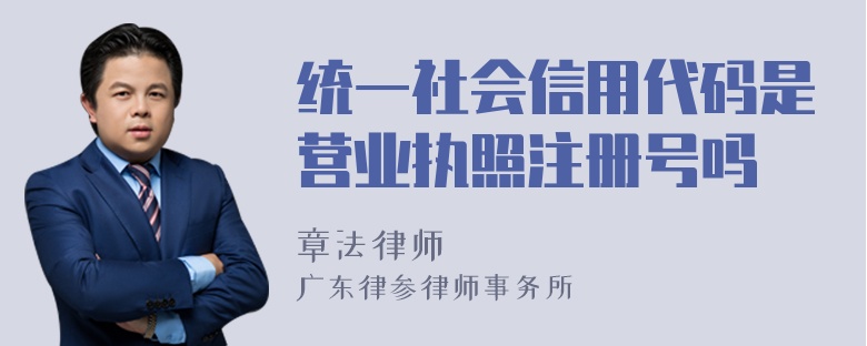 统一社会信用代码是营业执照注册号吗