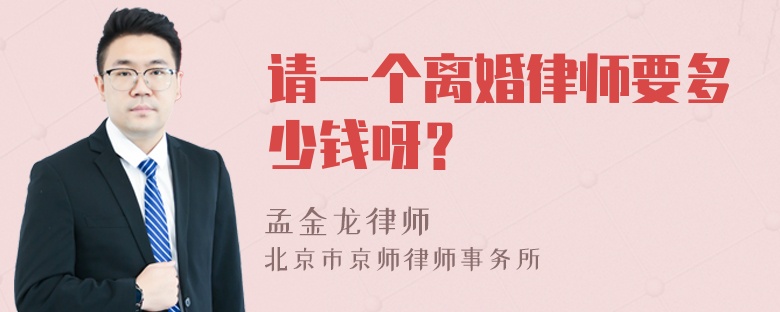 请一个离婚律师要多少钱呀？