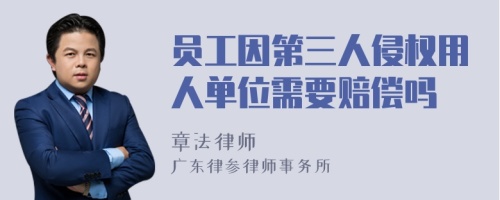 员工因第三人侵权用人单位需要赔偿吗