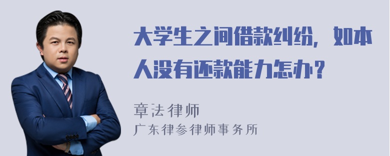 大学生之间借款纠纷，如本人没有还款能力怎办？