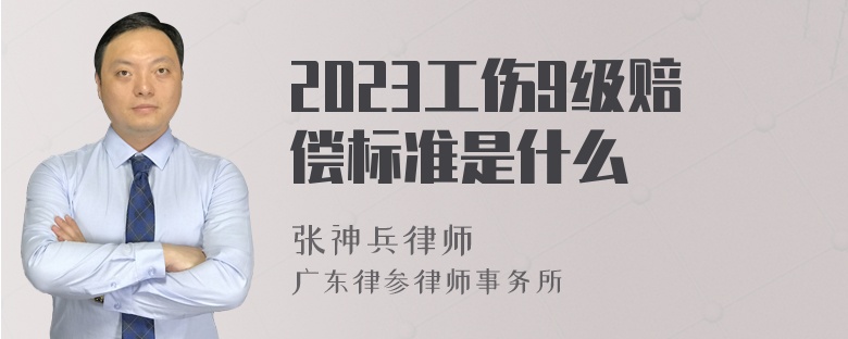 2023工伤9级赔偿标准是什么