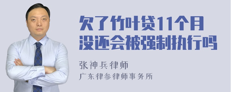 欠了竹叶贷11个月没还会被强制执行吗