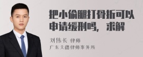 把小偷腿打骨折可以申请缓刑吗，求解