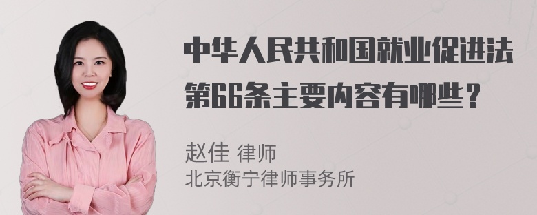 中华人民共和国就业促进法第66条主要内容有哪些？