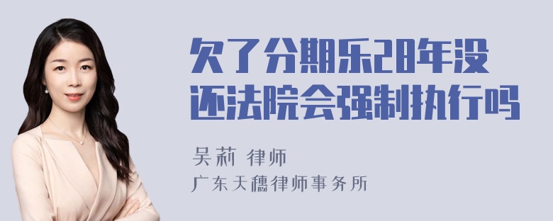 欠了分期乐28年没还法院会强制执行吗