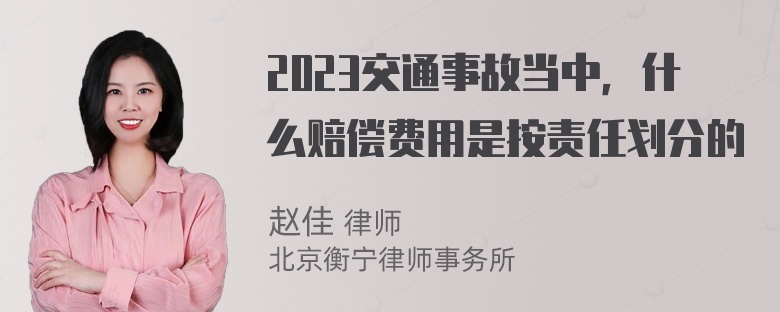 2023交通事故当中，什么赔偿费用是按责任划分的