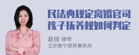 民法典规定离婚官司孩子抚养权如何判定