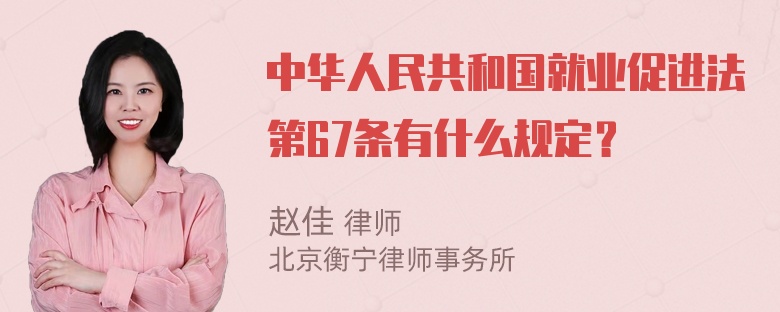 中华人民共和国就业促进法第67条有什么规定？