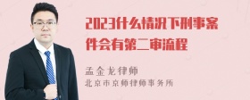 2023什么情况下刑事案件会有第二审流程