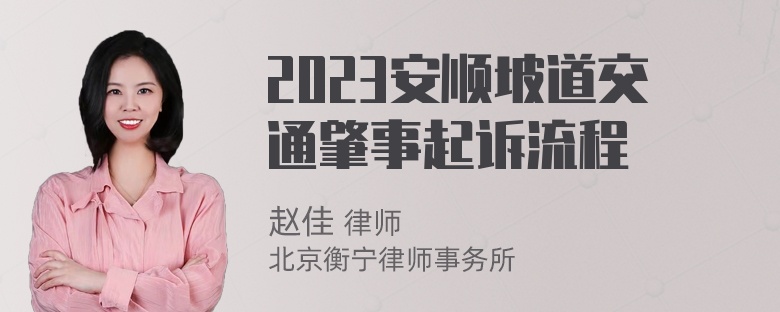 2023安顺坡道交通肇事起诉流程