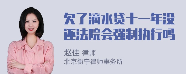 欠了滴水贷十一年没还法院会强制执行吗