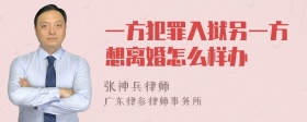 一方犯罪入狱另一方想离婚怎么样办